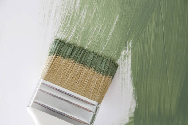 Best Black Mold Removal  in Rhinelander, WI