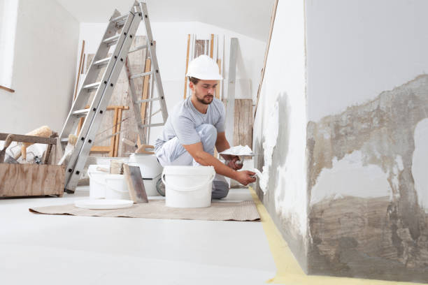 Best Attic Mold Removal  in Rhinelander, WI
