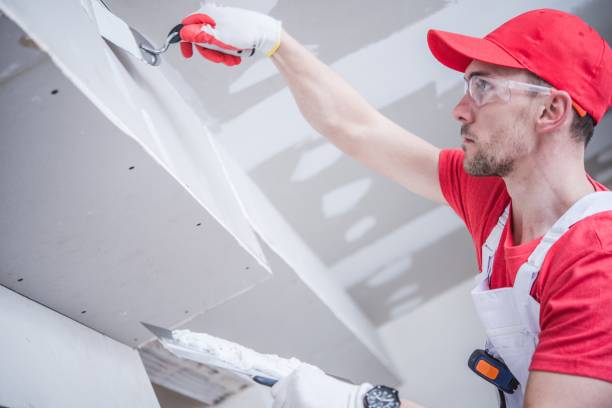 Reliable Rhinelander, WI Mold Removal Solutions