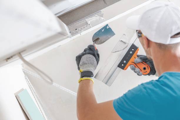  Rhinelander, WI Mold Removal Pros